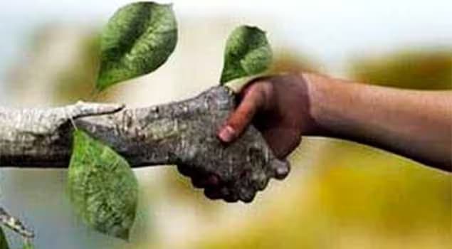 representación artística de un hombre estrechando la mano de la naturaleza