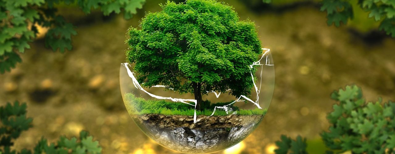 Arbol en una esfera de cristal